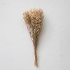 Dried Baby's Breath Bunch, Natural, 32"