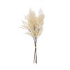 Flocked Faux Reed Plume, 28"