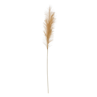 Faux Pampas Grass, Beige, Set of 2