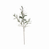 Olive Stems, Willow Green