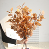 Eucalyptus Stems, Apricot, 33"