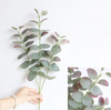 Eucalyptus Stems, 27"