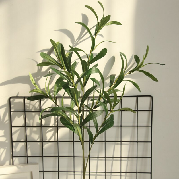 Home Republic - Olive Branch Stem, Homewares