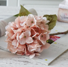 Hydrangea Stems