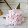 Hydrangea Stems
