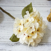 Hydrangea Stems