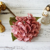 Hydrangea Stems