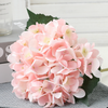 Hydrangea Stems