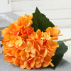 Hydrangea Stems