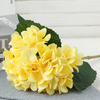 Hydrangea Stems