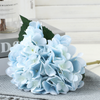 Hydrangea Stems