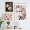 Pink Peonies Wall Art