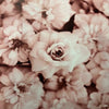 Pink Peonies Wall Art
