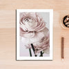 Pink Peonies Wall Art