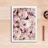 Pink Peonies Wall Art