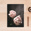 Pink Peonies Wall Art