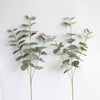 Eucalyptus Stems, 27"