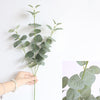 Eucalyptus Stems, 27"