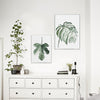 Nature's Plants Wall Art