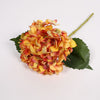 Hydrangea Stems