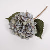 Hydrangea Stems