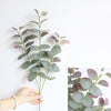 Eucalyptus Stems, 27"