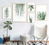 Nature's Plants Wall Art