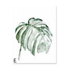 Nature's Plants Wall Art