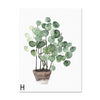 Nature's Plants Wall Art