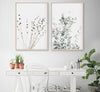 Botanical Canvas Art