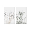 Botanical Canvas Art