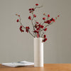 Daliah Textured Cream Vase Collection