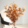 Eucalyptus Stems, Apricot, 33"