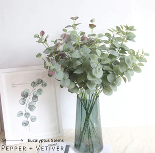 Eucalyptus Stems