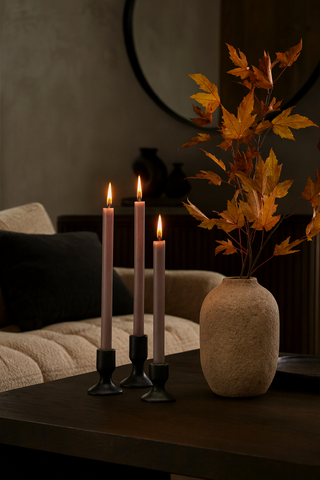 Fall Favorites