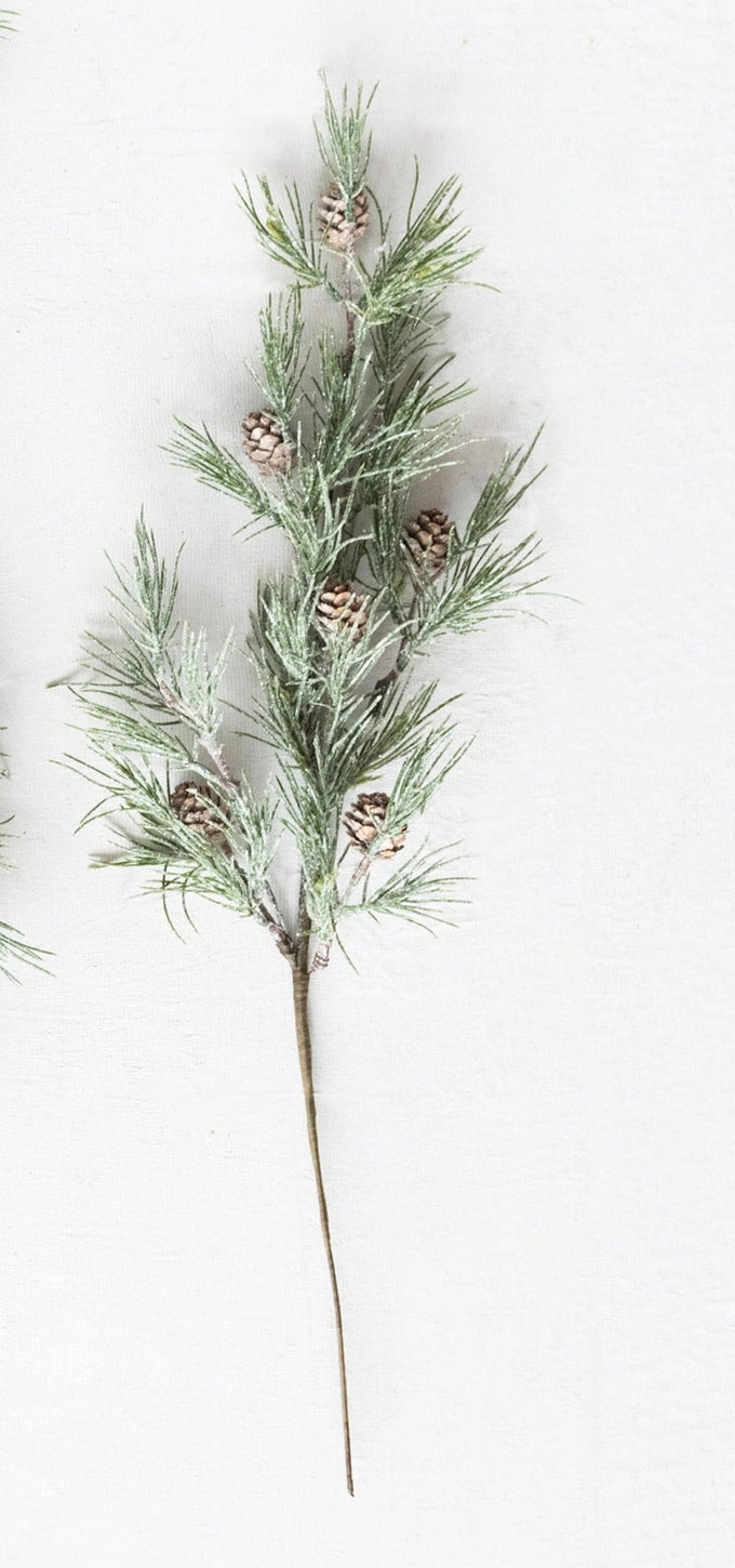 Pine Stems with Pinecones